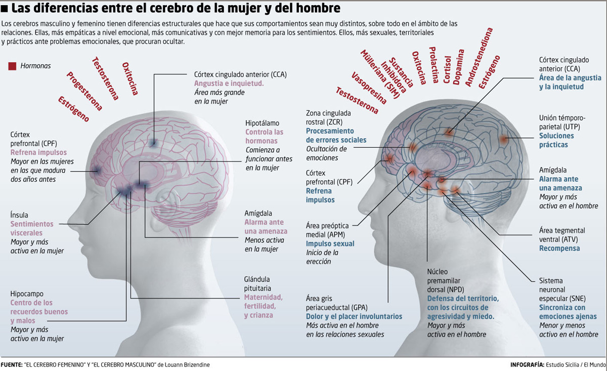 El Mundo (17)